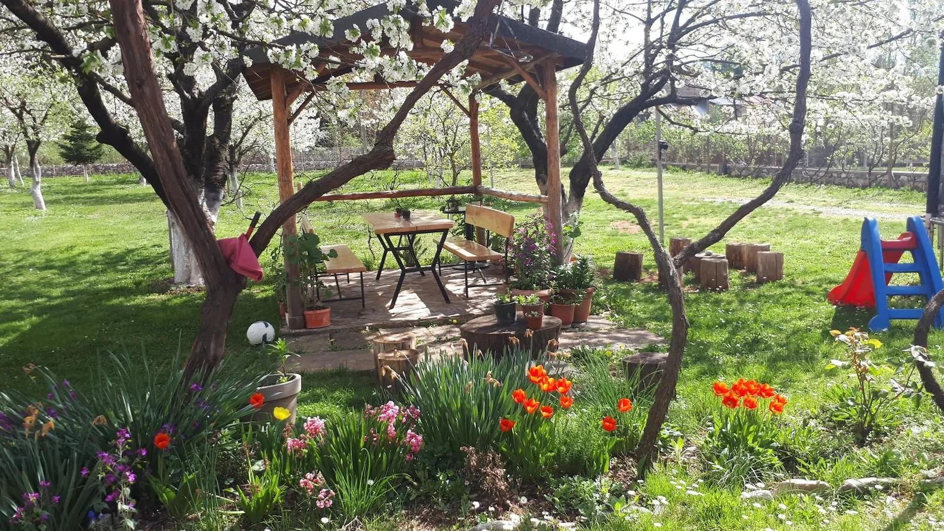 Peshkopi Camping Kapxhiu אלבניה